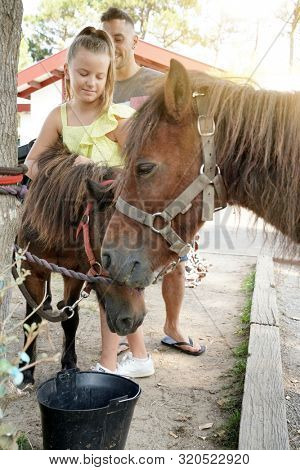 Young girl ready to get on a pony ride