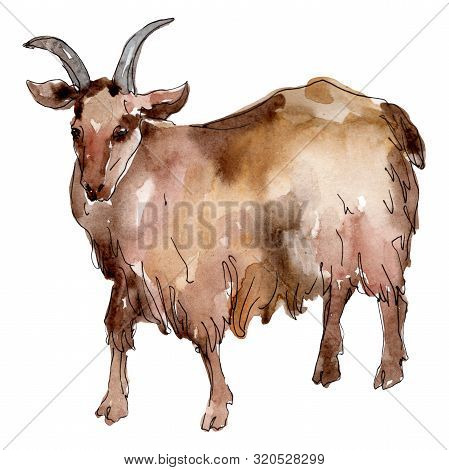 Goat Farm Animal Isolated. Watercolor Background Illustration Set. Isolated Goat Illustration Elemen