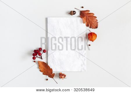 Autumn Composition. Paper Blank, Flowers, Leaves On Gray Background. Autumn, Fall, Thanksgiving Day 