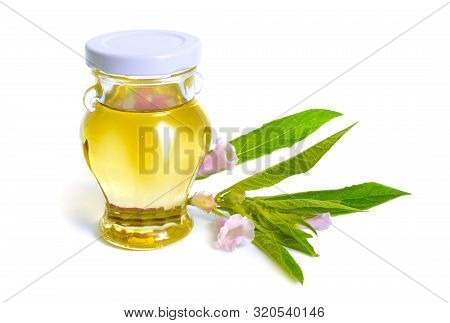 Sesame Oil With Plant Isolated On White Background