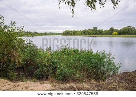 City Carnikava, Latvian Republic. Green Nature In Summer With River Gauja And Waves. Travel Photo. S
