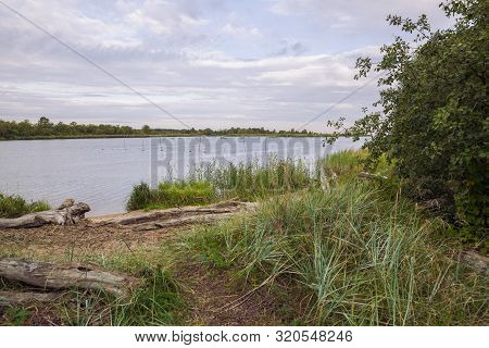 City Carnikava, Latvian Republic. Green Nature In Summer With River Gauja And Waves. Travel Photo. S