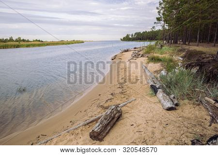 City Carnikava, Latvian Republic. Green Nature In Summer With River Gauja And Waves. Travel Photo. S