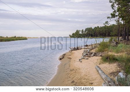 City Carnikava, Latvian Republic. Green Nature In Summer With River Gauja And Waves. Travel Photo. S