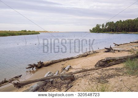 City Carnikava, Latvian Republic. Green Nature In Summer With River Gauja And Waves. Travel Photo. S