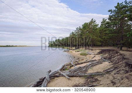 City Carnikava, Latvian Republic. Green Nature In Summer With River Gauja And Waves. Travel Photo. S