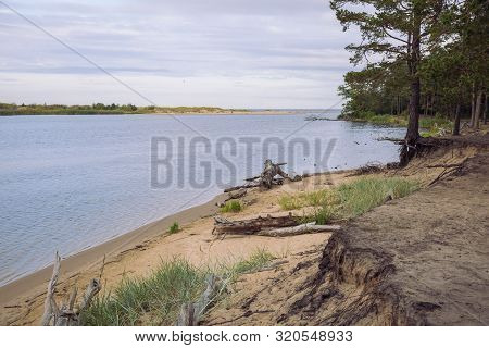 City Carnikava, Latvian Republic. Green Nature In Summer With River Gauja And Waves. Travel Photo. S
