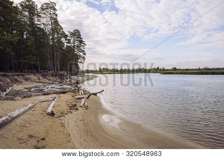 City Carnikava, Latvian Republic. Green Nature In Summer With River Gauja And Waves. Travel Photo. S