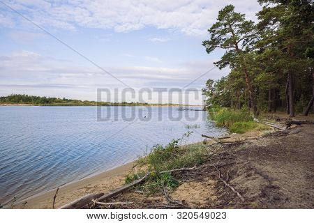 City Carnikava, Latvian Republic. Green Nature In Summer With River Gauja And Waves. Travel Photo. S