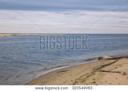 City Carnikava, Latvian Republic. Green Nature In Summer With Baltic Sea And Waves. Travel Photo. Se
