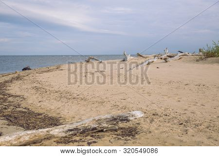 City Carnikava, Latvian Republic. Green Nature In Summer With Baltic Sea And Waves. Travel Photo. Se