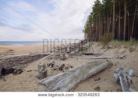City Carnikava, Latvian Republic. Green Nature In Summer With Baltic Sea And Waves. Travel Photo. Se