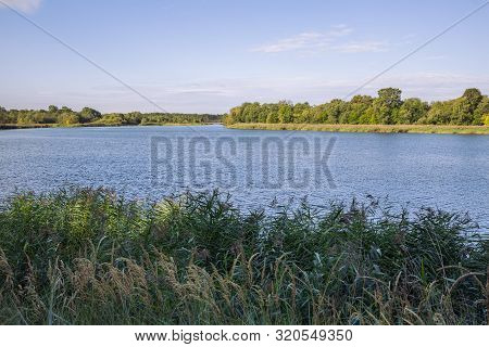 City Carnikava, Latvian Republic. Green Nature In Summer With River Gauja And Waves. Travel Photo. S