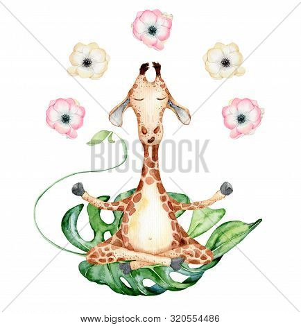 Cute Watercolor Geraffe With Tropical Flowers In Yoga Position Hand Drawn Illustration