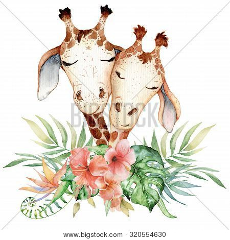 Cute Watercolor Couple Of Geraffes With Tropical Flowers Card Hand Drawn Illustration