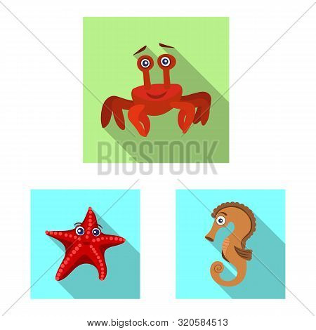 Vector Design Of Sea And Animal Symbol. Set Of Sea And Marine Vector Icon For Stock.