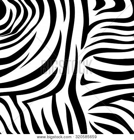 Zebra Seamless Pattern In Abstract Style In Black And White,vector Illustration Seamless Swatch In T