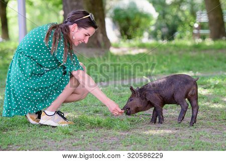 Girl Feeds A Little Pig. In A Green Meadow. The Concept Of Sustainability, Love Of Nature, Respect F