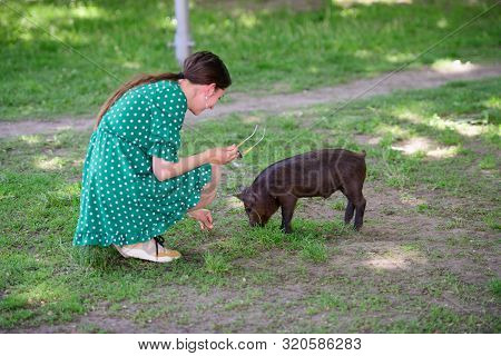 Girl Feeds A Little Pig. In A Green Meadow. The Concept Of Sustainability, Love Of Nature, Respect F
