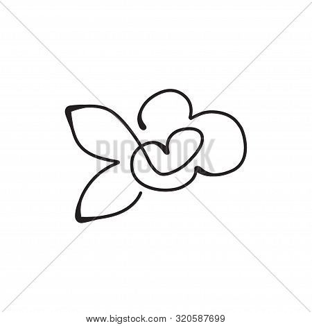 Abstract Flower In One Line Drawing Style