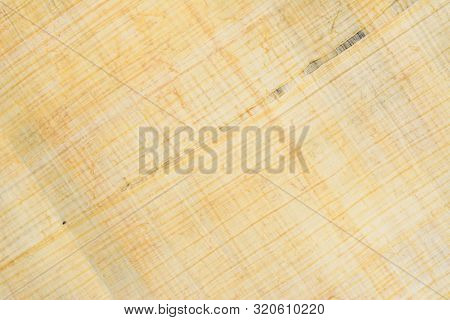 Authentic Egyptian Papyrus Paper Diagonal Background And Texture 41. Macro Closeup.