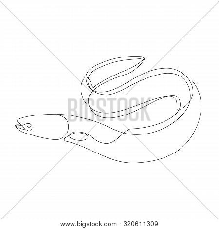 Eel Illustration Drawn By One Line. Minimalist Style Vector Illustration