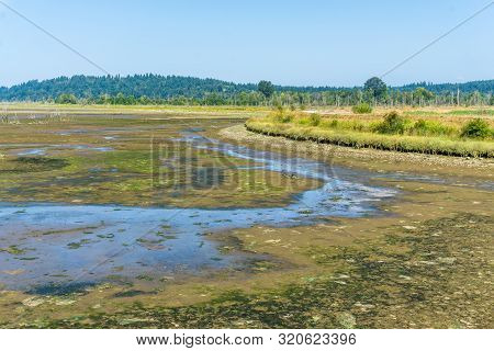 Mud Flat At The Nisqually Wetlands Near Olympia, Washington.