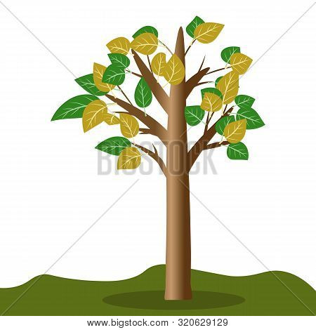 Isolated Cartoon Tree With A Huge Leaves, Vector Illustration For Props And Cartoon Decoration
