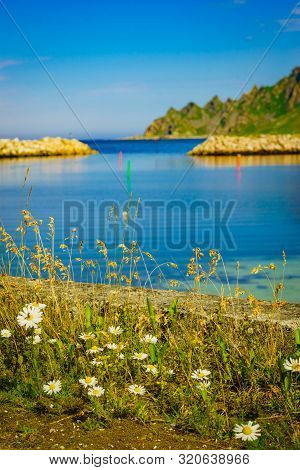 Fishing Port, Bleik Village In Summer Time. Andoya Island, Vesteralen Archipelago.