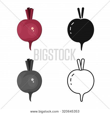 Vector Design Of Beet And Beetroot Symbol. Collection Of Beet And Diet Vector Icon For Stock.