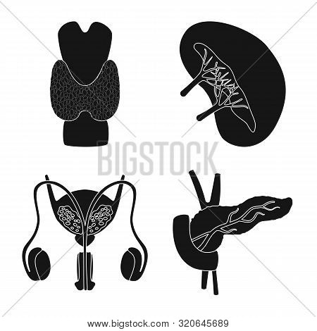 Vector Design Of Research And Laboratory Icon. Set Of Research And Organ Vector Icon For Stock.