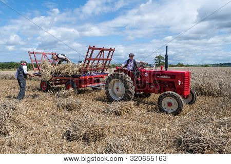 Haselbury Plucknett.somerset.united Kingdom.august 18th 2019.people Are Loading Bundles Of Wheat Str