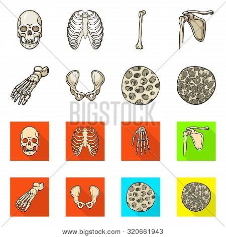 Vector Illustration Of Medicine And Clinic Icon. Set Of Medicine And Medical Vector Icon For Stock.