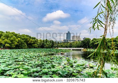 Landscape Of Nanhu Park, Changchun, China - Photographed In Changchun, China