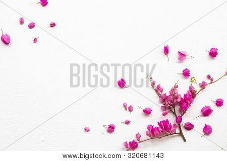 Colorful Pink Little Flowers Antigonon Leptopus Climber Local Flora Arrangement Flat Lay Postcard St