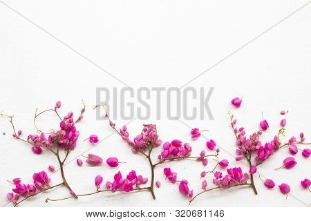 Colorful Pink Little Flowers Antigonon Leptopus Climber Local Flora Arrangement Flat Lay Postcard St