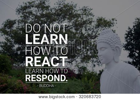 Do Not Learn How To React Learn How To Respond - Buddha