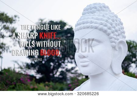 The Tongue Like A Sharp Knife... Kills Without Drawing Blood - Buddha
