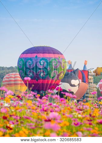 Singha Park Chiangrai International Balloon Fiesta 2019 In Singha Park, Chiang Rai, Thailand.