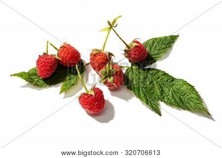 Fresh Raspberry With Leaves Isolated On White Background. Rubus Idaeus