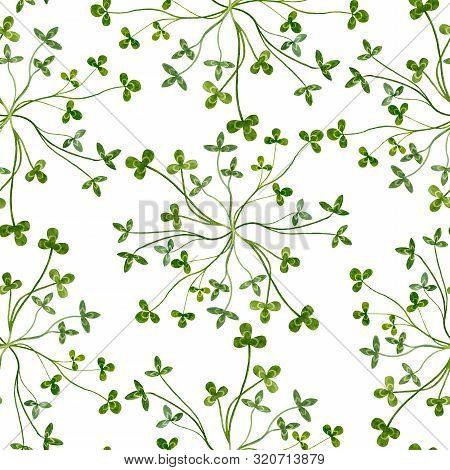Floral Seamless Watercolor Pattern With Green Interwined Clover Stems. Hand Painted Abstract Botanic