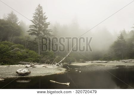 A Foggy Day At Kalaloch Beach In Olympic National Park, Washington