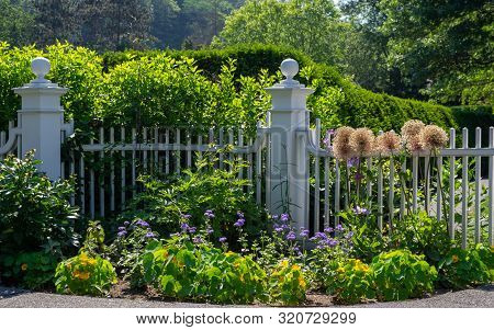 Pickett Fence Flower Garden