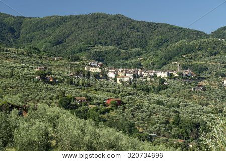 Rural Landscape From Buggiano Castello, Historic Town Near Montecatini, Pistoia, Tuscany, Italy, Wit