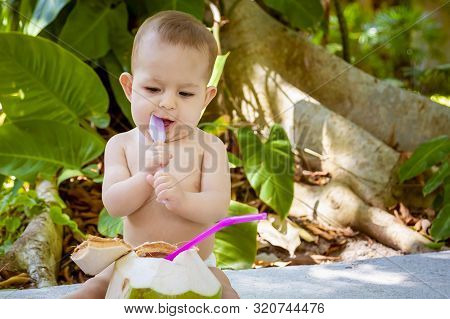 Infant Baby At Tropical Vacation. Eats And Drinks Green Young Coconut. Sits On A Ground And Gnaw A S