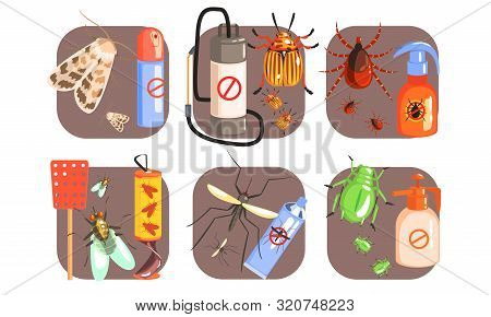 Pest Control Icons Set, Extermination Of Harmful Insects, Moth, Tick, Colorado, Potato, Beetle, Fly,