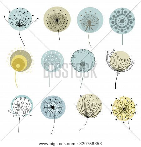 Set Of Dandelions. Collection Of Stylized Dandelions. Decorative Flowers. Flower Bud Logo. Vector Il