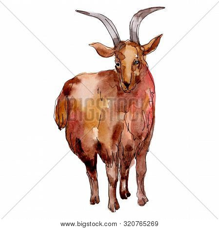 Goat Farm Animal Isolated. Watercolor Background Illustration Set. Isolated Goat Illustration Elemen