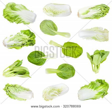 Various Chinese Cabbages (headed Napa Pekinensis Cabbage And Leaf Salad Bok Choy) Isolated On White 