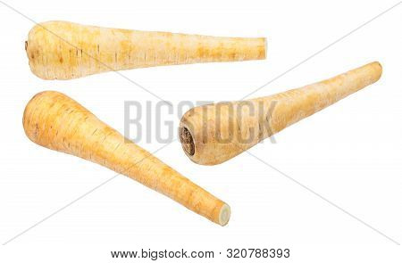 Three Ripe Roots Of Parsnip (pastinaca Sativa) Plant Isolated On White Background